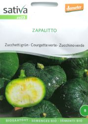 Courgette Zapallito ORGANIC Seeds